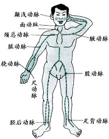 现场急救常识